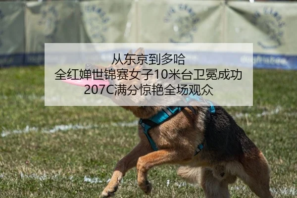 cong-dong-jing-dao-duo-ha-quan-hong-chan-shi-jin-sai-nv-zi-mi-tai-wei-mian-cheng-gong-man-fen-jing-yan-quan-chang-guan-2-829.jpg